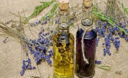 Народные средства от блох: эффективные методы для вашего дома